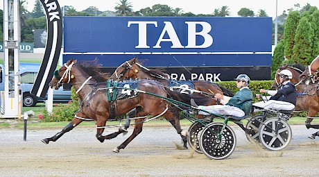 Lincoln Lou (Andre Poutama) has plenty in reserve to beat Sadhaka. PHOTO: Megan Liefting/Race Images.