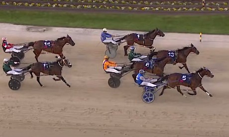 Debbie Lincoln powers home from last for a close fifth in the NZ Pacing Oaks at Addington.