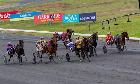 Captain Nemo, second from left, is racing far better than his form line suggests. PHOTO: Dan Costello.