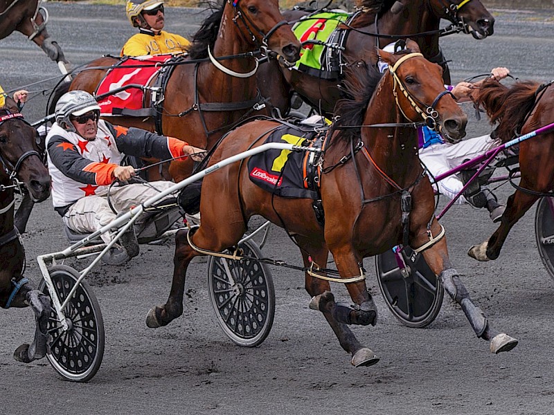 Captain Nemo RACING IN AUSTRALIA • Lincoln Farms