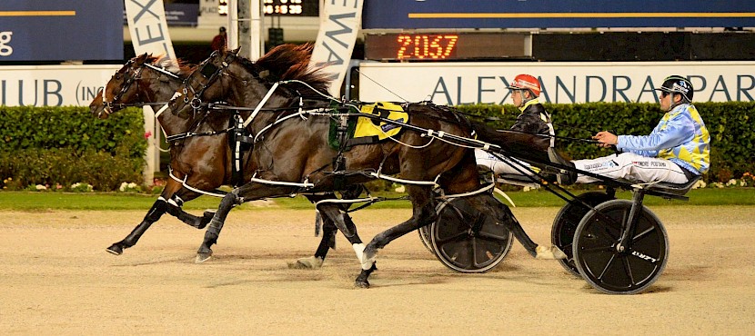 Zeuss Bromac staves off a game Perfect Stride at Alexandra Park. PHOTO: Peter Rubery/Race Images.