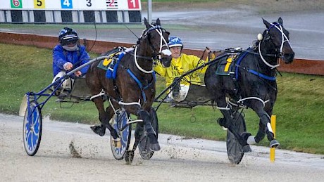 Zachary Butcher times his run to perfection on Belle Of Montana, who sneaks inside Princess Tiffany to win the Three-Year-Old Diamond at the Harness Jewels.