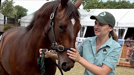 Lot 102 was Woodlands’ stud master Tony Grayling’s top pick and he fetched $200,000, the highest price for a colt.