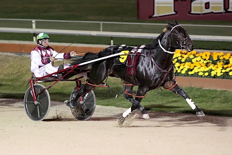 Krug, the best of three top drives for Blair Orange, but he’ll need a lot of luck from the inside of the second row. PHOTO: Addington Raceway.