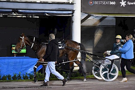 Captain Nemo and trainer Ray Green return to the stable at Alexandra Park after his swansong win there on June 4. PHOTO: Megan Liefting/Race Images.