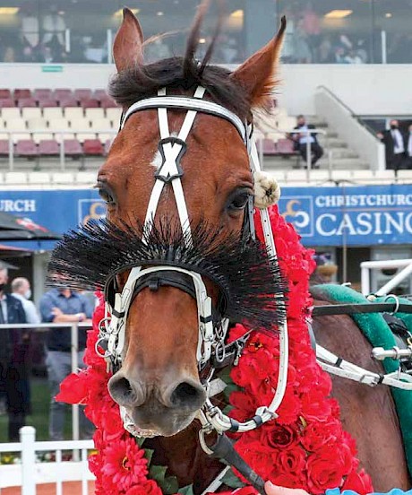 Copy That’s New Zealand Cup win was the highlight of a memorable season.