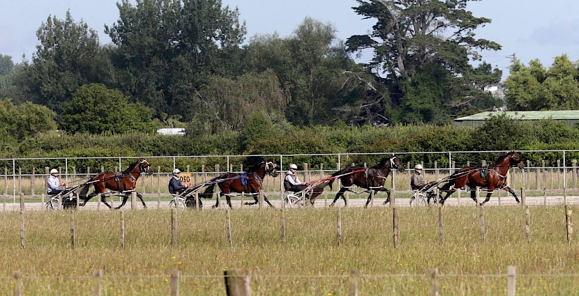 Leo Lincoln (Zachary Butcher) leads a Bettor’s Delight - Dream Offer filly (Andrew Drake), Lincoln Blue (Andre Poutama) and Lincoln La Moose (Andy Sharpe).