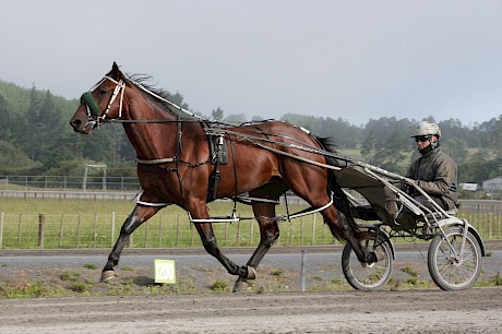 Lincoln Cove (Downbytheseaside -Everlasting Grace) has a great heart recovery rate. PHOTO: Trish Dunell.