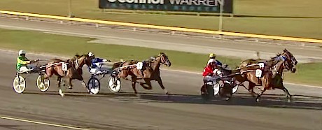 $1.20 favourite South Coast Arden beats Kango a nose in the four-horse 2022 Cambridge Classic.