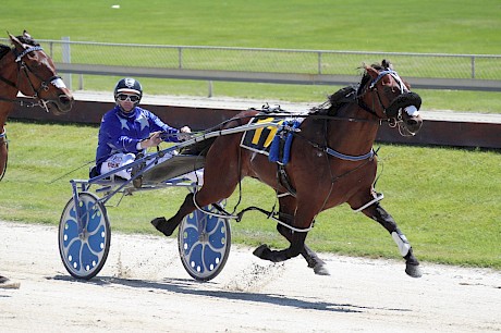 Don’t Stop Dreaming was one of 30 winners bred by Brian West’s Studholme Bloodstock and one of five who are finalists for awards.