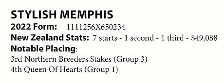 Few judges viewing HRNZ’s provided stats on Stylish Memphis would have voted for her.