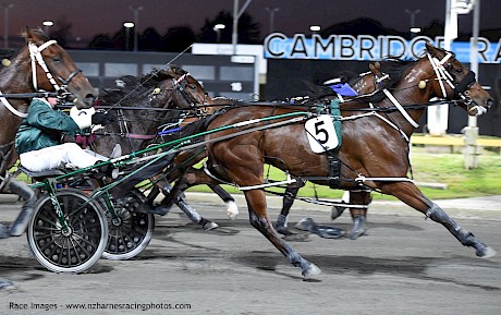 Leo Lincoln returns to Auckland after an excellent last start win over Irish Whispers at Cambridge. PHOTO: Megan Liefting/Race Images.