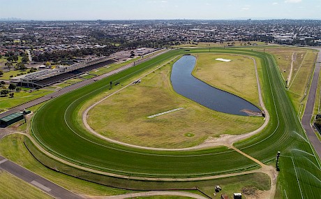 The Sandown Hillside track is 2097 metres in circumference with a 491 metre run home.