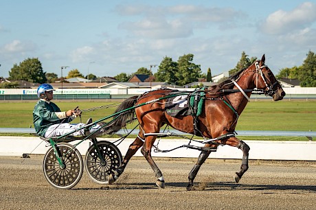 Obadiah Dragon … racing well and just looking for some luck. PHOTO: Jack McKenzie.