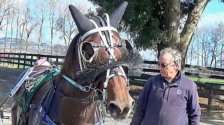 Trainer Ray Green tried all kinds of gear on Copy That before the penny dropped.