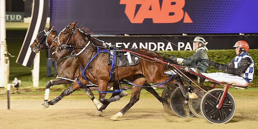 Tyson, inner, gets the better of Turn O The Tide at Auckland on Friday night. PHOTO: Megan Liefting/Race Images.
