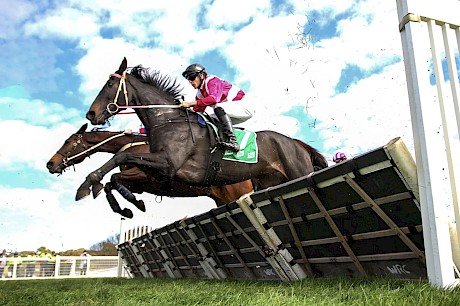 Unbeaten jumper Affluential in action at Warrnambool.