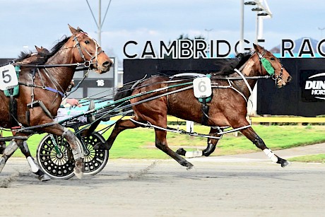 Im Not The Maid has Cupids Arrow well covered at the finish. PHOTO: Ange Bridson/Race Images.