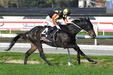 Fabian Hawk looked a rising winter star with three quick wins in 2023. PHOTO: Peter Rubery/Race Images.