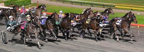 Copy That, outer, rounds up his Wondai’s Mate rivals in Brisbane with an incredible burst of speed from the back. PHOTO: Dan Costello.