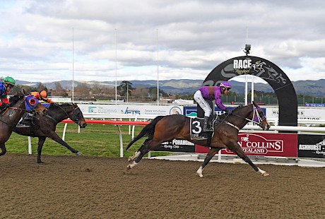 Lincoln Towers scores an easy win on the synthetic track at Awapuni on July 5. PHOTO: Peter Rubery/Race Images.