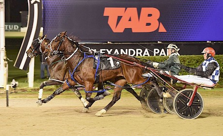 Tyson downs Turn O The Tide two starts back at Auckland. PHOTO: Megan Liefting/Race Images.