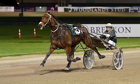 The Big Lebowski wins his Auckland debut by 11 lengths in May, 2023. PHOTO: Megan Liefting/Race Images.