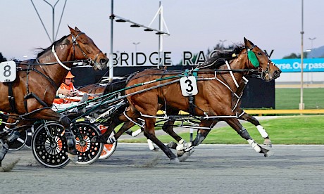 Im Not The Maid collars Messenger Buoy, obscured, at Cambridge on Thursday night. PHOTO: Ange Bridson/Race Images.