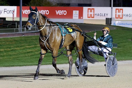 John Morrison brings back The Big Lebowski after his dominant last-start win at Addington. PHOTO: Ajay Berry/Race Images.