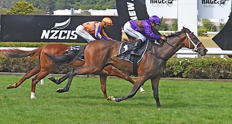 Platinum Attack stops the clock at 55.27 in beating Tightly Laced at Trentham in March. PHOTO: Peter Rubery/Race Images.