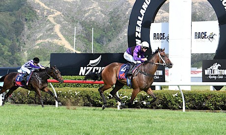 Platinum Attack (Jonathan Riddell) romps clear of Bedtime Story at Trentham. PHOTO: Peter Rubery/Race Images.