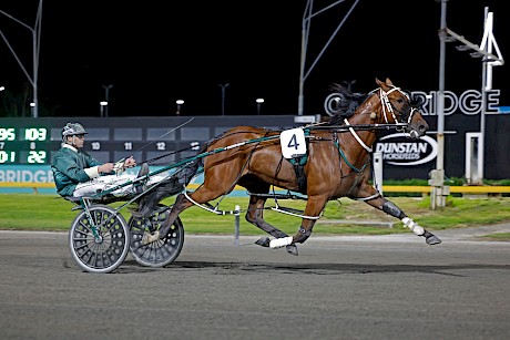 Lincoln La Moose, won “like a monster” on debut at Cambridge. PHOTO: Ange Bridson/Race Images.