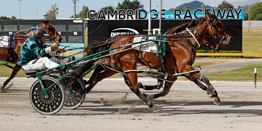 Commander Lincoln wins a slug-fest for Andrew Sharpe to score his second win at Cambridge. PHOTO: Ange Bridson/Race Images.