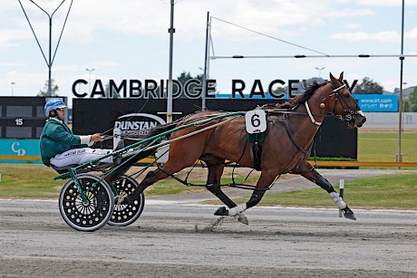 Beautiful pacer Colonel Lincoln scores an easy win for Nathan Delany at Cambridge. PHOTO: Ange Bridson/Race Images.