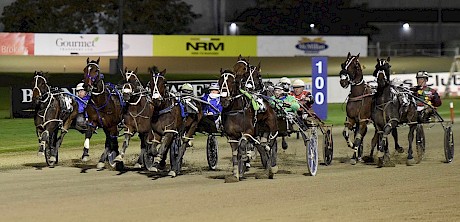 The Big Lebowski is obscured and full of running but had nowhere to go in the 2023 Auckland Cup. PHOTO: Megan Liefting/Race Images.