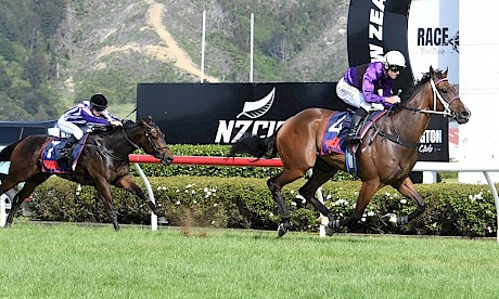 Platinum Attack bolts away from Bedtime Story to remain unbeaten at Trentham. PHOTO: Peter Rubery/Race Images.