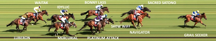 Platinum Attack ran a super fifth in the Telegraph at Trentham at his last start.