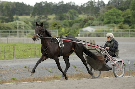 Rivergirl Bella … fast but not as tractable right-handed as Lincoln Linda.