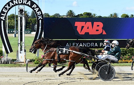 Angelic Copy (Tony Herlihy) just pips Allamericanplayer (Josh Dickie). PHOTO: Megan Liefting/Race Images.