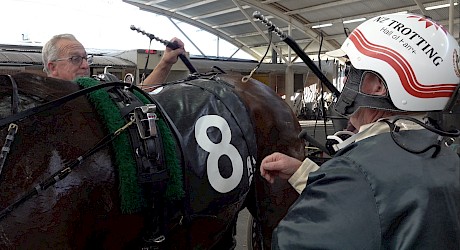 Driver Maurice McKendry tells trainer Ray Green that Colonel Lincoln is going to stay like “a mother-in-law.”