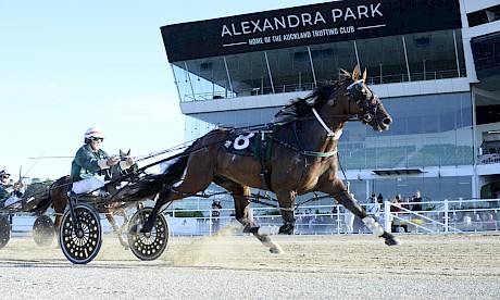 Colonel Lincoln powers home to score after a great drive by Maurice McKendry. PHOTO: Megan Liefting/Race Images.