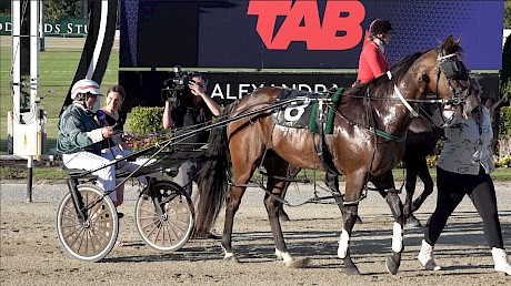 Maurice McKendry tells Trackside’s Nicole Sims about Colonel Lincoln’s dominant win.