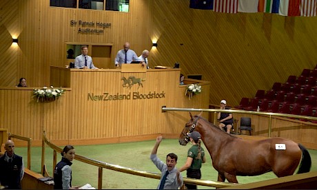 A bid spotter raises his hand but it’s a split second too late, auctioneer Cam Bray’s gavel has already come down on lot 51.