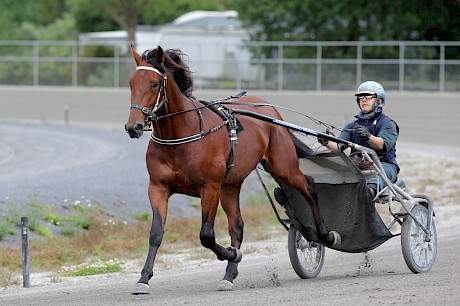 Lincoln Wave (Nathan Delany), the full brother to lot 51, is shaping up as a real talent. PHOTO: Trish Dunell.