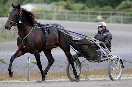 Driver Peter Ferguson was impressed by Lincoln Lover’s debut. PHOTO: Trish Dunell.