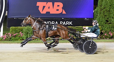 Runner-up Lincoln Lover is almost obscured entirely by two-year-old winner Prince Lincoln. PHOTO: Megan Liefting/Race Images.