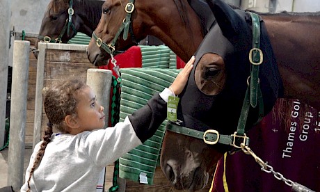 Lincoln Linda gets a pat from a young fan, with a chilled-out Angelic Copy in the background.