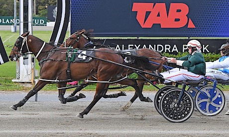 Tyson outgrits Words to score his fourth win on Friday night. PHOTO: Megan Liefting/Race Images.