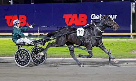 Dreams Of Eric has won all four of his races at Cambridge. PHOTO: Ange Bridson/Race Images.