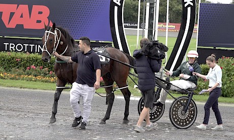 Maurice McKendry being interviewed after winning behind Lincoln Wave at Auckland.